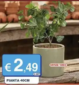 Mister Risparmio Pianta 40cm offerta