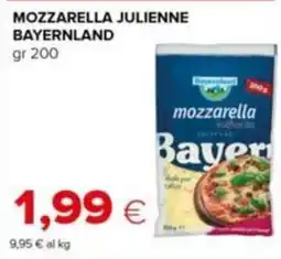 Tigre Mozzarella julienne bayernland offerta