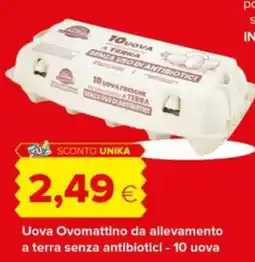 Tigre Uova Ovomattino offerta