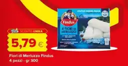 Tigre Fiori di Merluzzo Findus offerta