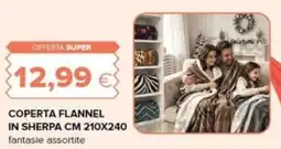 Oasi Coperta flannel in sherpa offerta