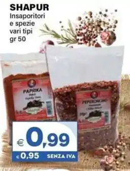 Boningros Cash and Carry Shapur insaporitori e spezie vari tipi offerta