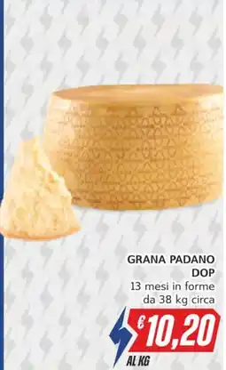 Italy Cash Grana Padano DOP offerta