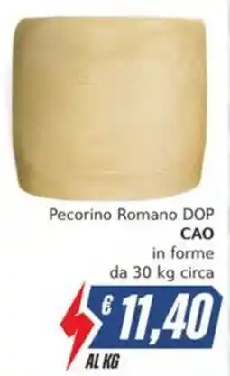 Italy Cash Pecorino Romano DOP CAO offerta