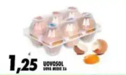 Compri Meglio Uovosol uova medie offerta