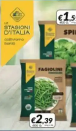 Supermercati Visotto Fagiolini fini offerta