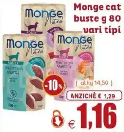 Elite Pet Monge cat buste offerta