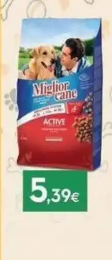 Proshop Miglior cane Active offerta