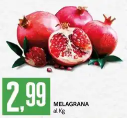PRO7 Supermercati Melagrana offerta
