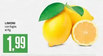 Limoni con foglia