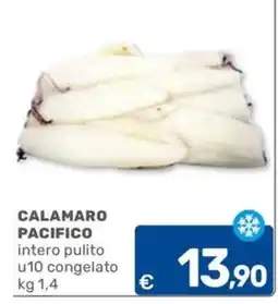 C+C Cash and Carry Calamaro Pacifico offerta