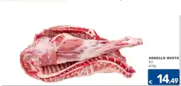 C+C Cash and Carry Agnello busto EU offerta