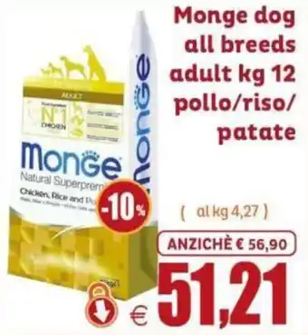 Monge dog all breeds adult