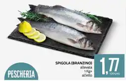 PRO7 Supermercati Spigola (branzino) allevata offerta