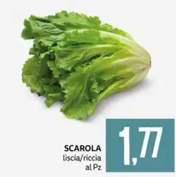 PRO7 Supermercati Scarola liscia/riccia offerta