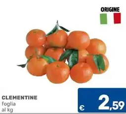 C+C Cash and Carry Clementine foglia offerta