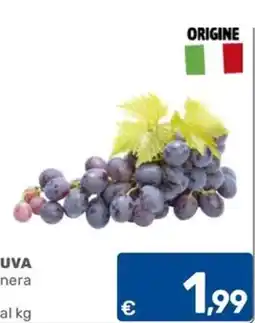 C+C Cash and Carry Uva nera offerta