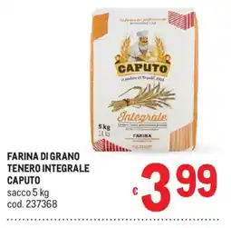 Metro Farina di grano tenero integrale Caputo offerta