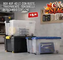 Angel Mercatone Box 4up offerta
