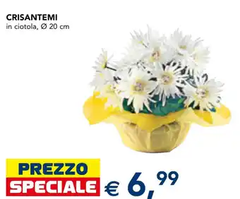 Crisantemi in ciotola