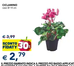 Esselunga Ciclamino offerta
