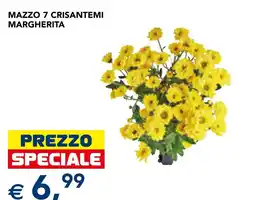 Esselunga Mazzo 7 crisantemi margherita offerta