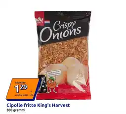 Action Cipolle fritte King's Harvest offerta