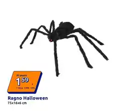 Action Ragno Halloween offerta