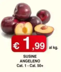 Orsini Market Susine Angeleño offerta