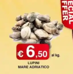 Orsini Market Lupini mare adriatico offerta