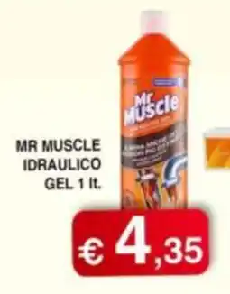 Orsini Market Mr Muscle idraulico gel offerta