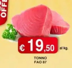 Orsini Market Tonno FAO 87 offerta