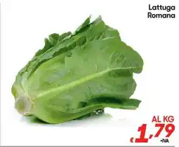Pac Cash&Carry Lattuga Romana offerta