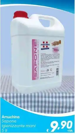 Pac Cash&Carry Amuchina Sapone igienizzante mani offerta