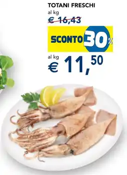 Esselunga Totani freschi offerta