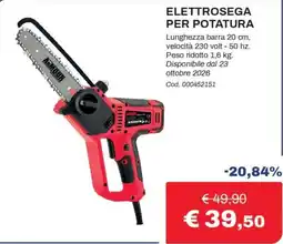Eurobrico Elettrosegas per potatura Armour offerta