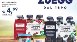 Esselunga NETTARE ZUEGG offerta