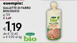 Bennet Gallette di farro biologico offerta