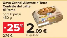 Carrefour Uova Grandi Allevate a Terra Centrale del Latte di Roma offerta