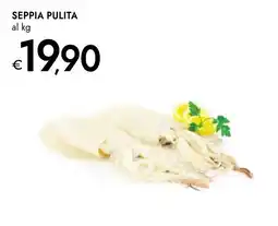 Bennet Seppia pulita offerta