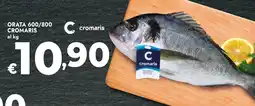 Bennet Orata Cromaris offerta