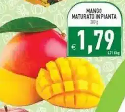 Supermercati Agorà Mango maturato in pianta offerta