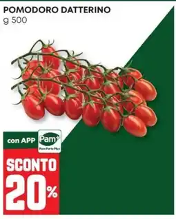 Panorama Pomodoro datterino offerta