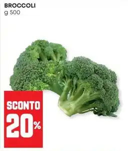 Panorama Broccoli offerta