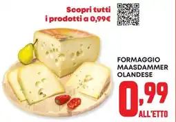 Panorama Formaggio Maasdammer Olandese offerta