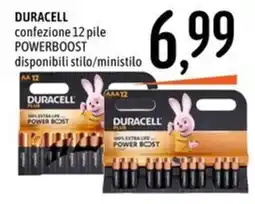 Emisfero Duracell Powerboost offerta