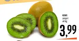 Emisfero Kiwi zespri offerta