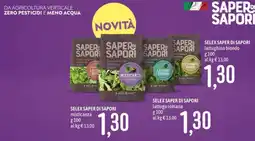 Emisfero Saper di Sapori misticanza offerta