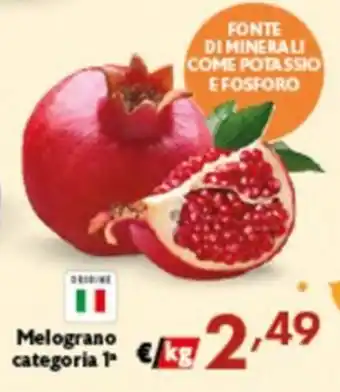 Melograno categoria 1ª