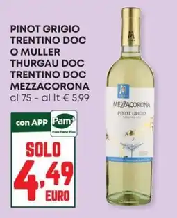 Panorama Pinot Grigio Mezzacorona offerta